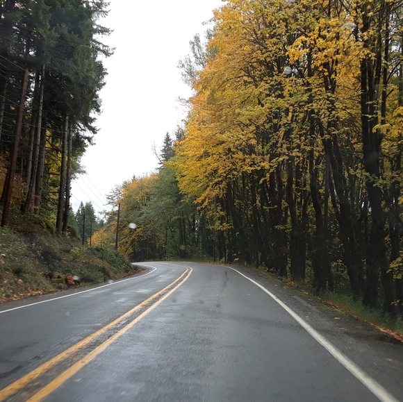 Meet your Posher, Janine - Picture 3 of 7